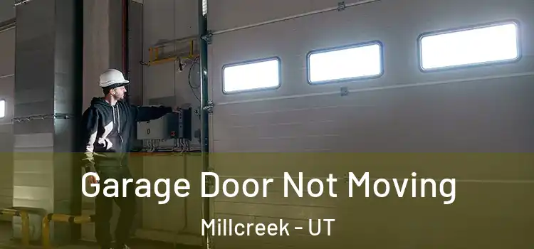  Garage Door Not Moving Millcreek - UT
